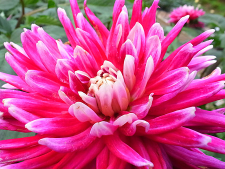 R0022498
