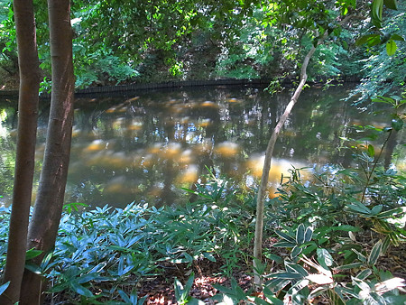 R0023575