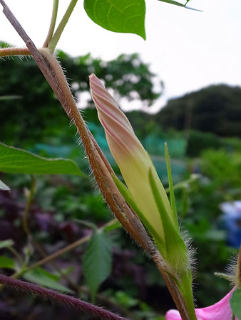 R0024248