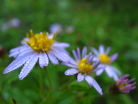 R0026472