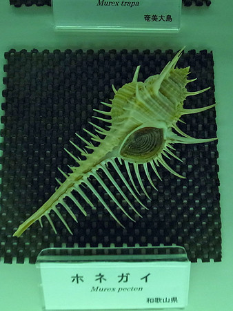 R0027205