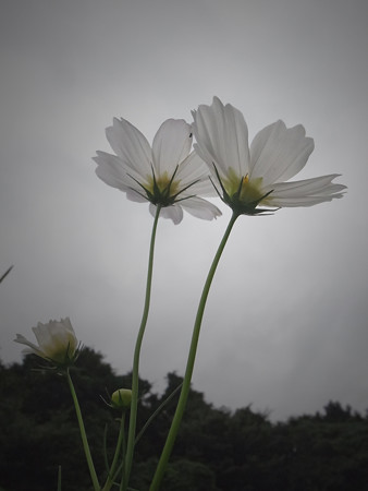 R0027607