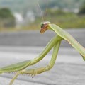 Photos: なんか、、、