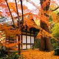 rs-161202_71_旧天瑞寺寿覆堂辺りの紅葉・SH(三渓園) (9)