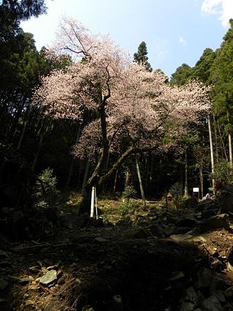 DSCN3927
