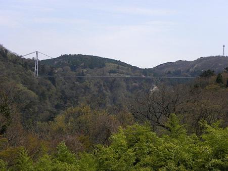 DSCN4101