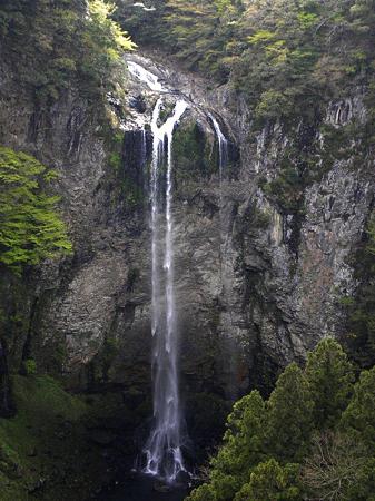 DSCN4142