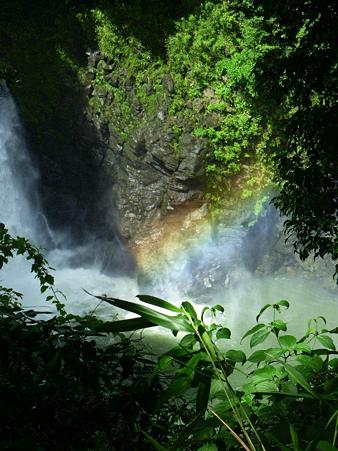 P1000399
