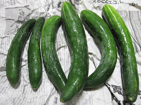 01_cucumber