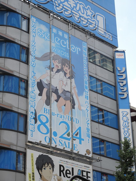DSCN0525