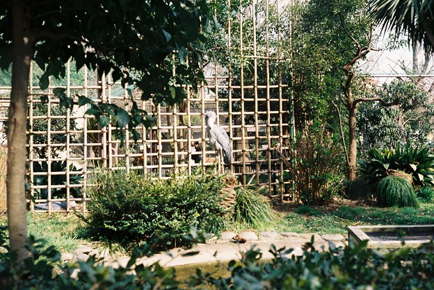 FH000024