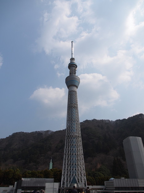 P3190009