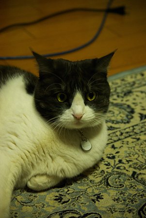 IMGP6988