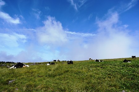 DSC_9509-1
