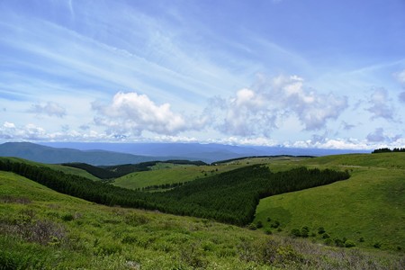 DSC_9573-1