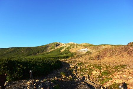 DSC_0469-1