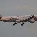 Photos: A330-300 B-18355 CAL