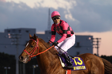 スマートファルコン2_2010東京大賞典