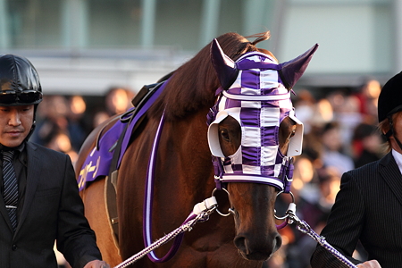 フリオーソ2_2010東京大賞典