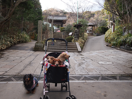 鎌倉海蔵寺