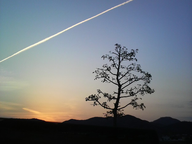 帰り道 飛行機雲が綺麗すぎ 写真共有サイト フォト蔵