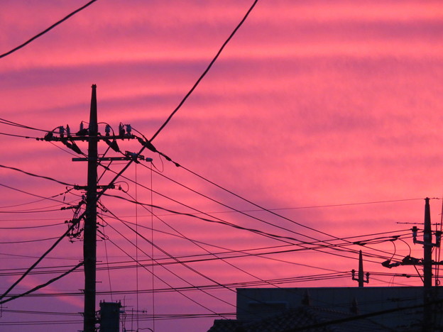 夕焼け18