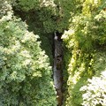 龍渓橋から見た世屋川の渓谷（２）