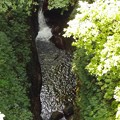龍渓橋から見た世屋川の渓谷（３）