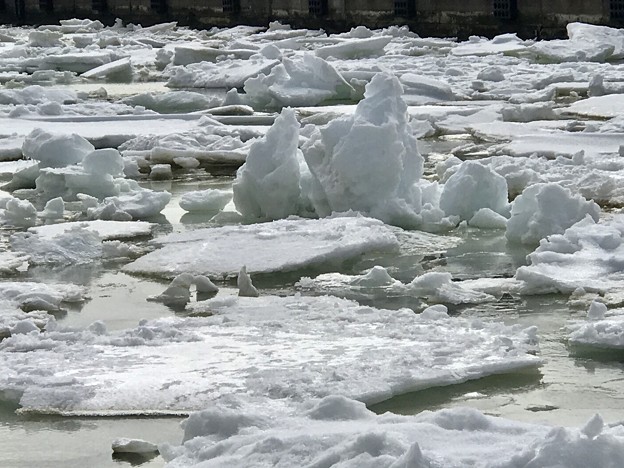 釧路港に来た流氷