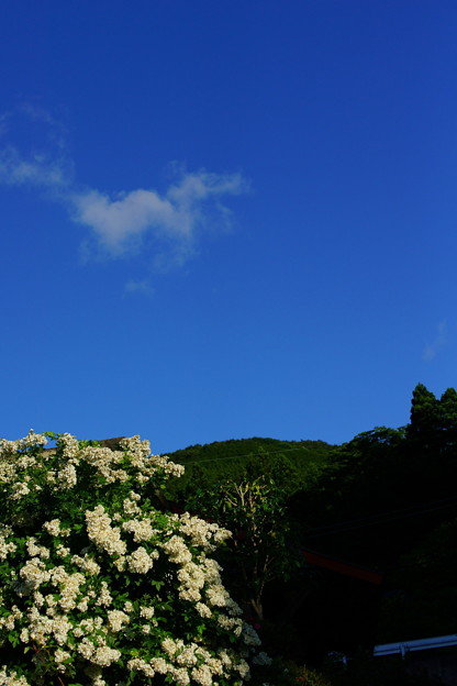 DSC01250