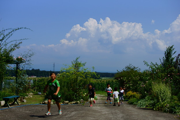 夏の想い出♪