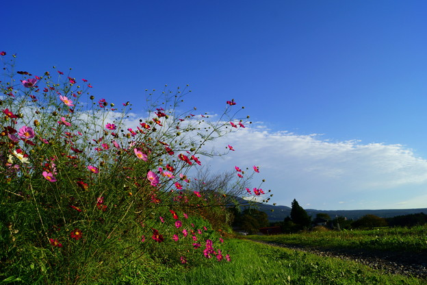DSC06221