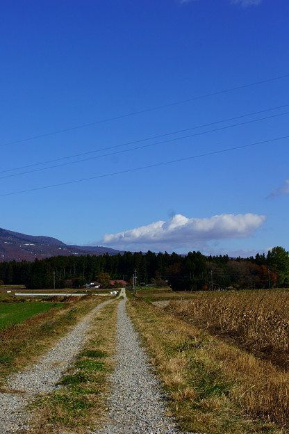 田舎道