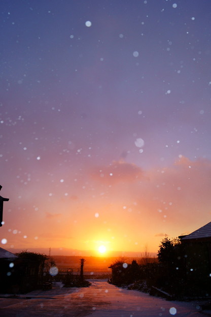 小雪が舞って