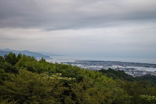 _MG_6772_R