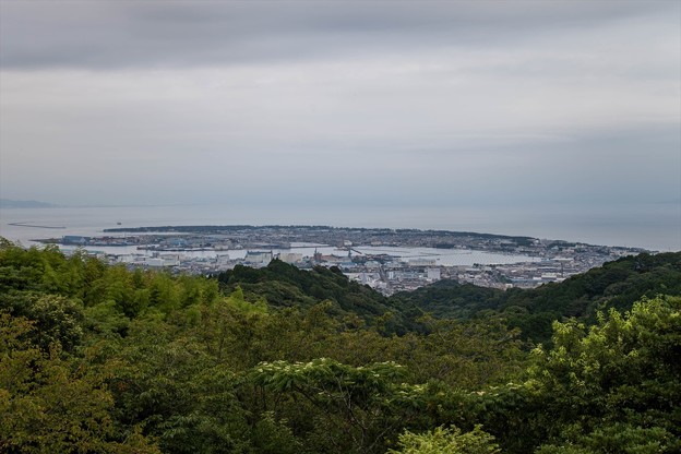 _MG_6771_R