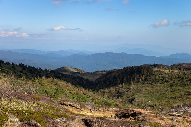 _MG_0577_R