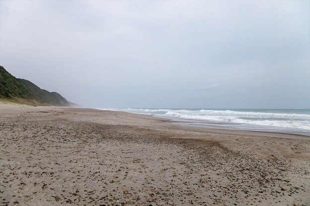 _MG_1170_R