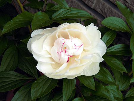 DSCN0841_edited