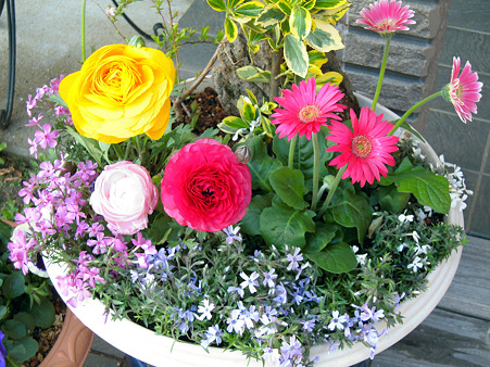 DSCN2415_edited