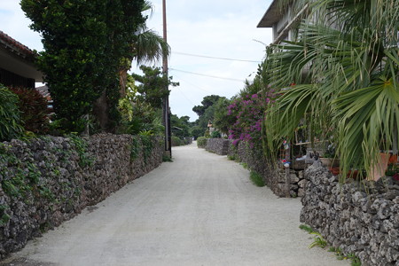DSC02662