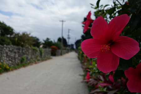 DSC02757