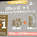 Photos: Canon EOS 60D Touchi&Try:28