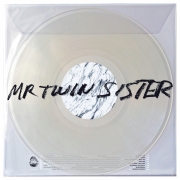 Mr Twin Sister