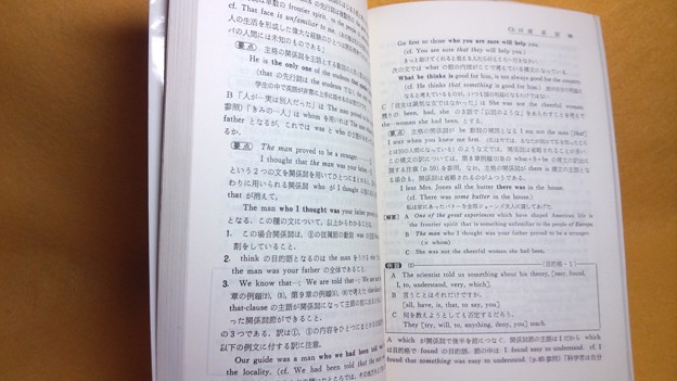 英語構文詳解伊藤和夫駿台本大 6 受験参考書内容例 照片共享页面 撮影蔵