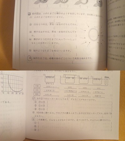 段階別新問題集 小学5年 理科 教学出版社 参考書