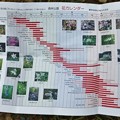 県立森林公園ビジターセンターバードピア浜北　　花カレンダー販売しています。