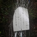 これで新しい登山道に入れないようにされました。