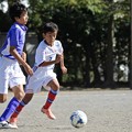 Photos: fullsizeoutput_4f8f