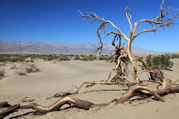 Death Valley NP (1)